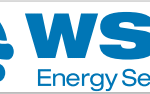 WSG ENERGY SERVICES